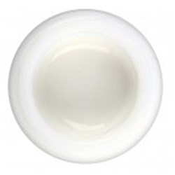 GC Initial IQ Lustre Paste NF - 3-Dimensional paintable ceramic-  L-N Neutral - 4grams