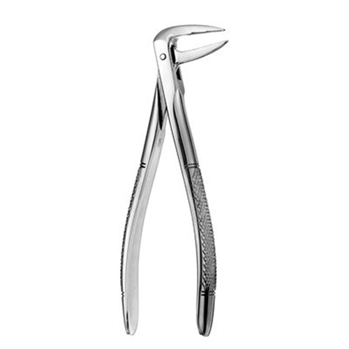 FORCEPS European Style #233 Serrated Lower Roots