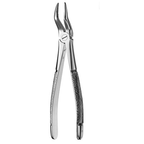 FORCEPS European Style #51 Serrated Upper Roots