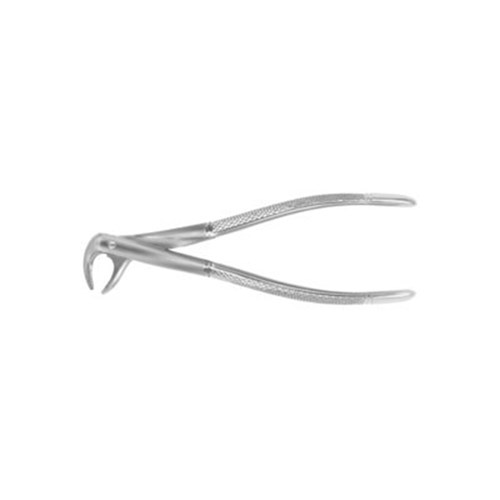 FORCEPS European Style #74 Serrated Lower Roots