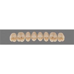 VITA MFT Lower Posterior Classical Shade A2 Mould PL29