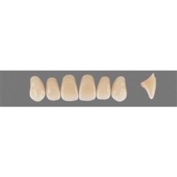 Vita Vitapan 3D, Upper, Anterior, Shade 1M1, Mould T76