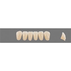 Vita Vitapan 3D, Lower, Anterior, Shade 1M2, Mould L10