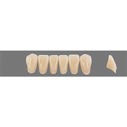 Vita Vitapan 3D, Lower, Anterior, Shade 2L25, Mould L14