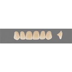Vita Vitapan 3D, Upper, Anterior, Shade 2M1, Mould Z61