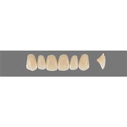 Vita Vitapan 3D, Upper Anterior, Shade 2M3, Mould O13