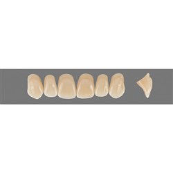 Vita Vitapan 3D, Upper, Anterior, Shade 2M3, Mould O86