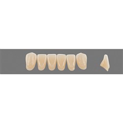 Vita Vitapan 3D, Lower Anterior, Shade 2M3, Mould L12