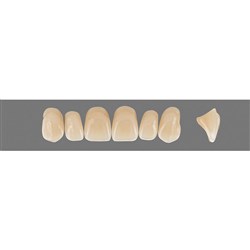 Vita Vitapan 3D, Upper Anterior, Shade 2R15, Mould X66