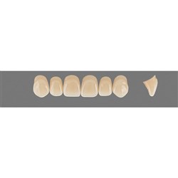 Vita Vitapan 3D, Upper Anterior, Shade 2R15, Mould Z51