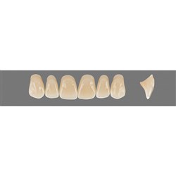 Vita Vitapan 3D, Upper Anterior, Shade 3R25, Mould O25