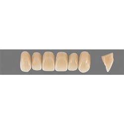 Vita Physiodens 3D, Upper Anterior, Shade 4M3, Mould X1M