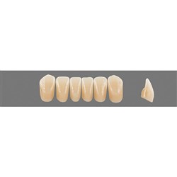 Vita Physiodens 3D, Lower Anterior, Shade 4R15, Mould L7L