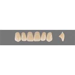 Vita Vitapan 3D, Upper, Anterior, Shade 4R15, Mould X13