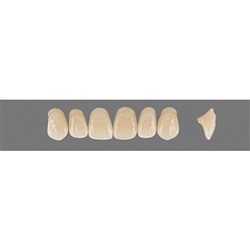 Vita Vitapan 3D, Upper, Anterior, Shade 5M1, Mould O43