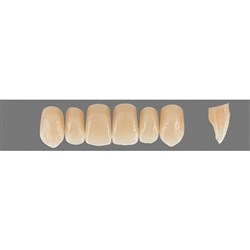 Vita Physiodens 3D, Upper, Anterior, Shade 5M2, Mould  X3L
