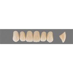 Vita Vitapan Plus Upper, Anterior, Shade 2M2 A2, Mould T46