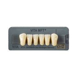 Vita MFT Lower, Anterior, Shade 0M1, Mould L33