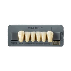 Vita MFT Lower, Anterior, Shade 0M3, Mould L34