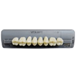 Vita MFT Upper, Posterior, Shade 1M1 B1, Mould PU29