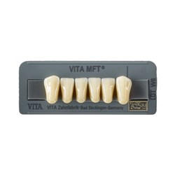 Vita MFT Lower, Anterior, Shade 3M3, Mould L34