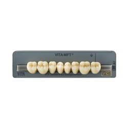 Vita MFT Lower, Posterior, 3D Shade 3M3, Mould PL31