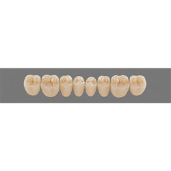 Vita MFT Lower, Posterior, Shade 4L15 C3, Mould PL29