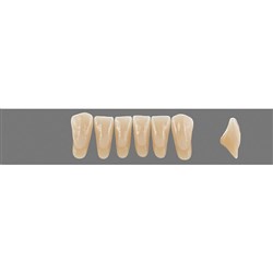 Vita MFT Lower, Anterior, Classical Shade A1, Mould L37LN