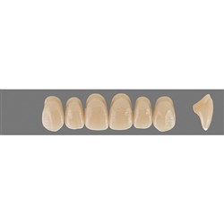 Vita MFT Upper, Anterior, Classical Shade A1, Mould O49