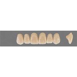 Vita MFT Upper, Anterior, Classical Shade A1, Mould S47