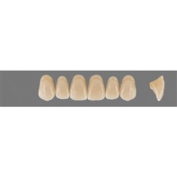 Vita MFT Upper, Anterior, Classical Shade A1, Mould T46