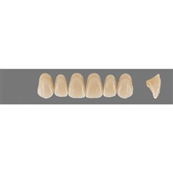 Vita MFT Upper, Anterior, Classical Shade C1, Mould T46