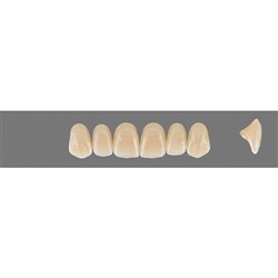 Vita MFT Upper, Anterior, Classical Shade A3, Mould R42
