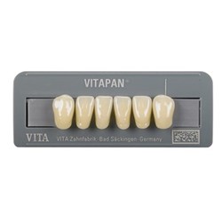 Vita Vitapan Classical Lower, Anterior, Shade A1, Mould L10