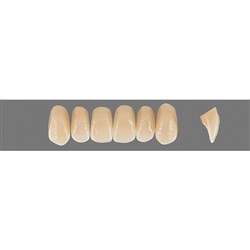 Vita Physiodens Classic, Upper, Anterior, Shade A3.5, Mould  O1S