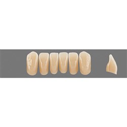 VITA Physiodens Classic, Lower Anterior, Shade B2, Mould L6L