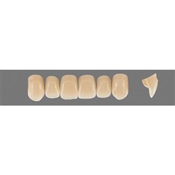 VITA Physiodens Classic, Upper Anterior, Shade B2, Mould Z2S
