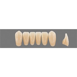 VITA Physiodens Classic, Lower Anterior, Shade B3, Mould L8L