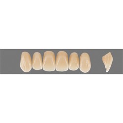 VITA Physiodens Classic, Upper Anterior, Shade B4, Mould T6L