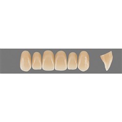 VITA Physiodens Classic, Upper Anterior, Shade C4, Mould X2L