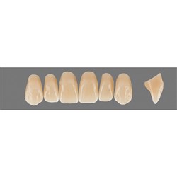 VITA Physiodens Classic, Upper Anterior, Shade D2, Mould T9L