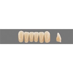 VITA Physiodens Classic, Lower Anterior, Shade D4, Mould L4M