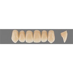 VITA Physiodens Classic, Upper Anterior, Shade D4, Mould O4L