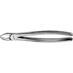 Aesculap Forceps #168 - TROTTER - Upper Canines - DG030R