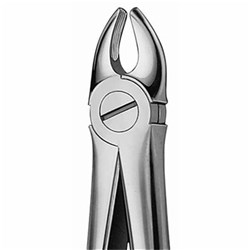 Aesculap Forceps #107 - Upper Canine Short Beaks - DG032R