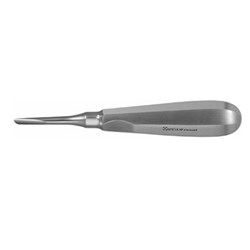 Aesculap Elevator - 6S - 2mm Working End - Straight- DL360R - 150mm