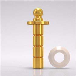 Lab analog ball abutment D 5.0