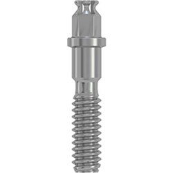 iSy Abutment Screw