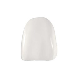 Coltene Componeer - Prefabricated Composite Shells - XL - Upper - 21 - White Opalescent Enamel, 2-Pack