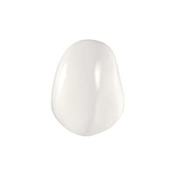 Coltene Componeer - Prefabricated Composite Shells - XL - Upper - 11 - Enamel Universal, 2-Pack